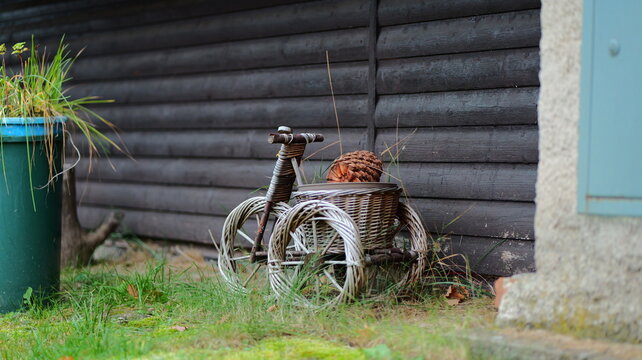 Wicker bicycle planter. Rustic garden decor. Charming outdoor accent. Vintage style. Perfect for gardening blogs