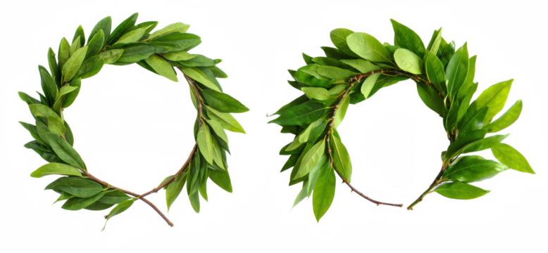 Green Laurel Crown Front View — PNG