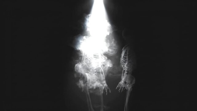 High-contrast animation of a human skeleton materializing from smoke within a bright spotlight on a black background