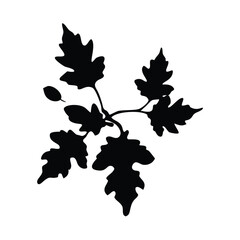 Naklejka premium A stark silhouette of a leafy plant against a clean white background art