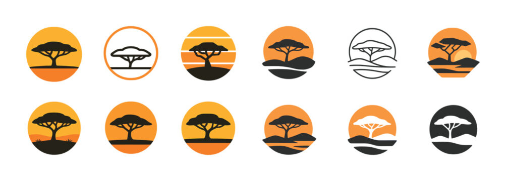 Set of 12 stylized acacia tree logos with sunset backgrounds in various artistic designs