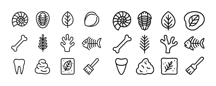 Hand-drawn fossils and nature icons: shells, leaves, bones, and fish line art collection
