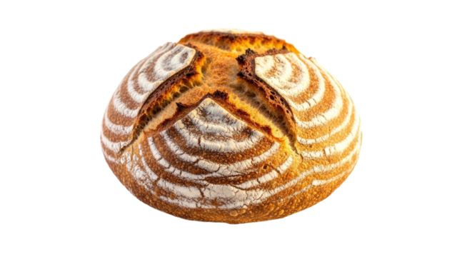 Closeup of a Beautiful Spiral Shell on White Background.