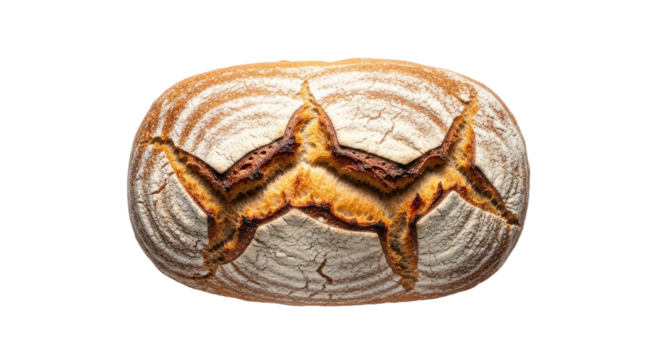 Closeup of a Hermit Crab on a Shell.