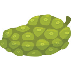 Green Noni Fruit with Textured Surface and Stem on Transparent Background