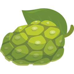 Green Noni Fruit with Textured Skin and Leaf Isolated on Transparent Background Healthy Organic Food Ingredient and Herbal Remedy for Wellness