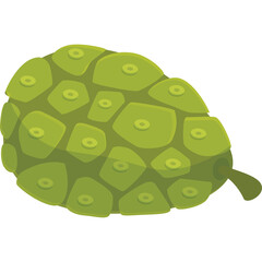 Green Noni Fruit with Textured Surface and Small Stem Isolated on Transparent Background Healthy Food Ingredient and Traditional Medicine Concept