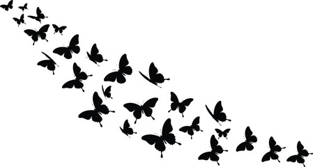 Black silhouette vector illustration of a flowing swarm or stream of various butterflies isolated on a white background, representing freedom, spring, nature, and beauty