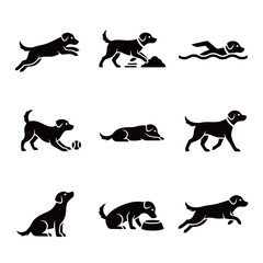 Set of Dog Activity Silhouettes Including Jumping, Swimming, and Playing with Ball