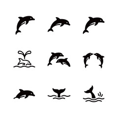 Obraz premium Black Silhouette Dolphin Symbol Collection Showing Movement and Interaction