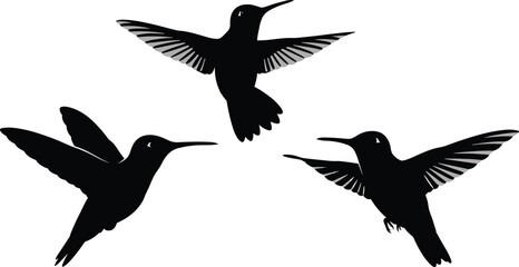 Three black hummingbirds in flight with grey wing details flying silhouette