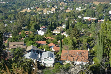 Vibrant Hillside Community Nestled Among Trees and Rolling Terrain During Bright Daylight