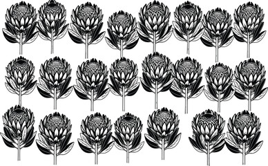 Protea flower pattern, botanical illustration, seamless grid design, black blue motif, textile art, floral symmetry, decorative nature, elegant wallpaper