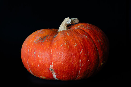 A misshapen orange pumpkin on a black background