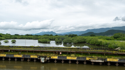 Abandoned industrial conveyor pier structure overgrown with moss, spanning a tranquil mangrove estuary with mountains in the background