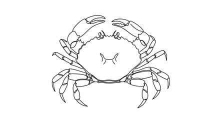 Detailed crab line drawing, ready for coloring book pages and educational marine illustrations
