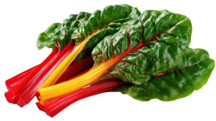Colorful Swiss Chard Display: Vibrant leaves of Swiss chard, showcasing a spectrum of colors, including deep red, bright yellow and lush green. It is an appetizing display of a healthy.