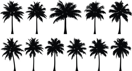 Set of black silhouette palm tree vectors with lush fronds and detailed trunks, perfect tropical nature illustration for summer vacation, travel poster, and beach design.