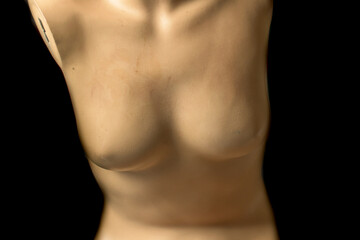 Fototapeta premium Vertical Close Up of Female Mannequin Torso with Textured Surface