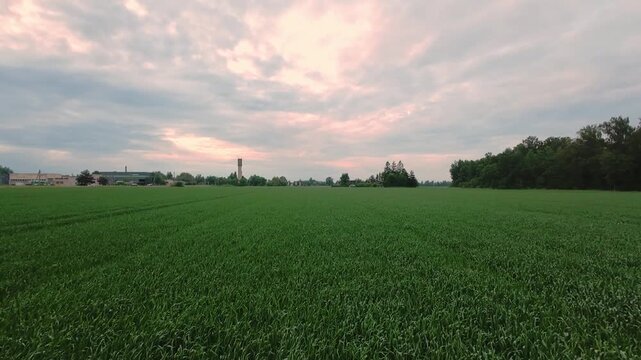 bright sunset over open fields, sunset hues paint peaceful rural landscape at dusk, evening scene showcasing vibrant sunset complemented by pink clouds and shadowed expanses of farmland