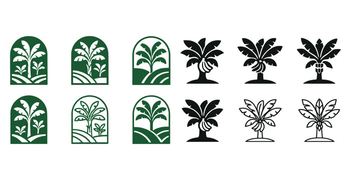 Vector set of tropical banana plants in various styles and designs