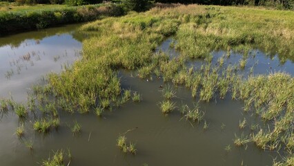 農村の外れにあるため池