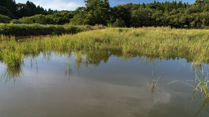 農村の外れにあるため池