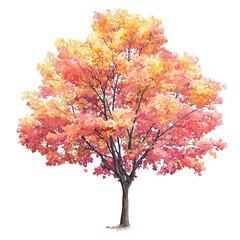 Fototapeta premium Stunning autumn tree with vibrant leaves in shades of yellow, orange, and pink, perfect for adding seasonal beauty to your design projects and evoking feelings of warmth and nostalgia