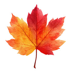 Obraz premium Autumn's fiery watercolor maple leaf embodies seasonal beauty and vibrant fall foliage, perfect for nature enthusiasts and artistic designs with a touch of elegance.
