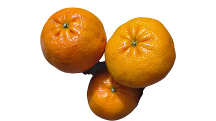 Three bright orange citrus fruits isolated on a dark background