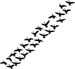 Bird formation silhouette, flying flock vector, black and white illustration, migration pattern, nature flight, wildlife, sky design art