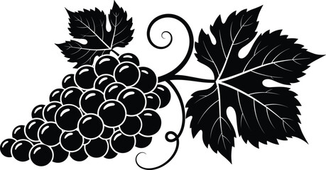 Black and white grape illustration, vine leaves, stylized fruit cluster, decorative botanical artwork, vineyard theme, glossy grapes, elegant design