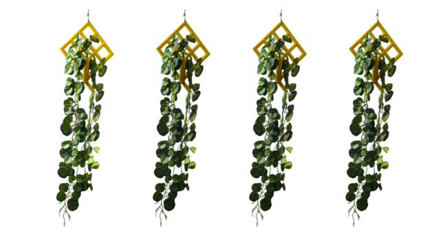 Four intricate gold and green beaded earrings on a black reflective surface