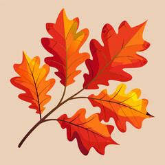 Fototapeta premium Autumn Oak Leaves Botanical Vector