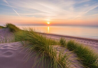 Peaceful beach sunrise with green dune grass and calm ocean waters