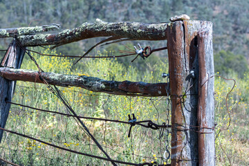 old wooden fence and gate