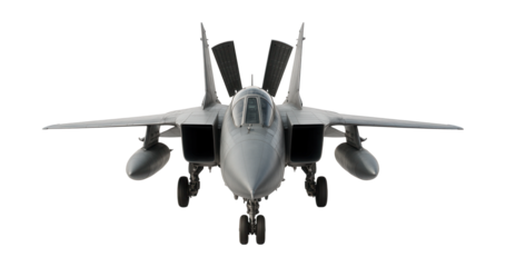 Twin-engine fighter with variable-sweep wings and dorsal airbrakes.