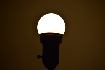 Light Bulb
