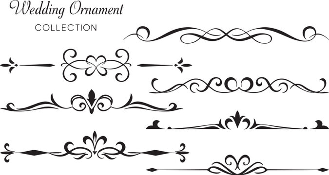 Elegant wedding ornament vector set with vintage flourishes, decorative dividers, swirls and floral elements - Powered by Adobe