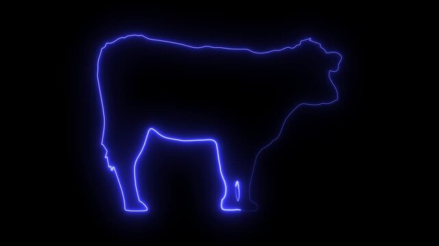 cow icon animation on black background.4k video neon sign of cow icon animation. Animated neon Icon of a cow with a glowing neon effect, glowing Animal neon farm icon black background.
