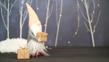 Christmas gnome holding gifts against a backdrop.