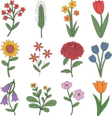 Hand drawn flower vector set with 12 wild floral illustrations