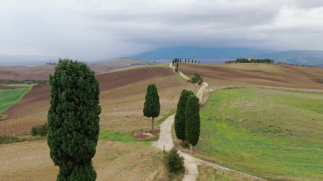 Dolly Aerial Zoom of Cypresses Lined on Side of Road in Tuscany, Echoing Timeless Landscapes seen in Gladiator. Drone Shot