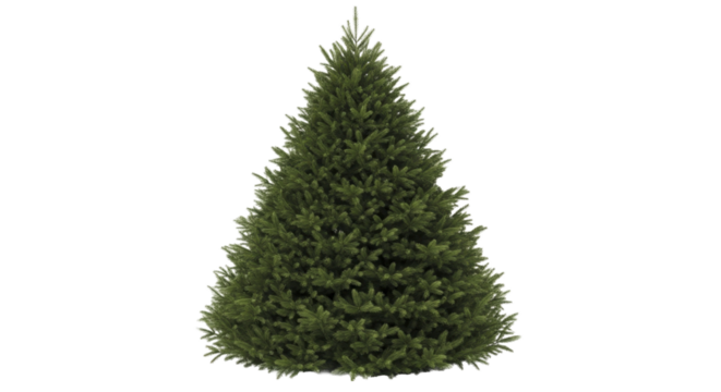 Full Fluffy Green Christmas Tree on a Transparent Background PNG Image