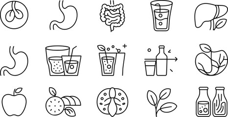Icons for Digestion and Healthy Diet