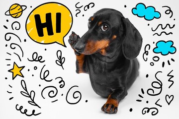 Cute dachshund greeting with hand-drawn doodles and speech bubble