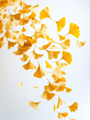 Yellow Ginkgo Leaves Descending in Air Captured with Bright Fall Colors on Transparent Background