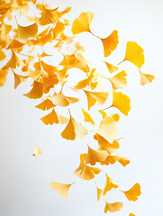 Yellow Ginkgo Leaves Descending in Air Captured with Bright Fall Colors on Transparent Background