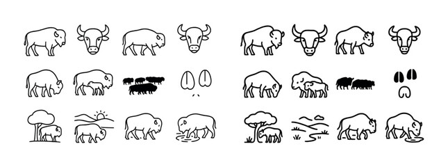 Bison icons: various poses and scenarios in simple line art © Coosh448
