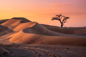 Golden Hour Illumination on Vast Desert Dunes Under a Serene Sunset Sky with a Solitary Silhouette Tree Standing Tall Against the Horizon